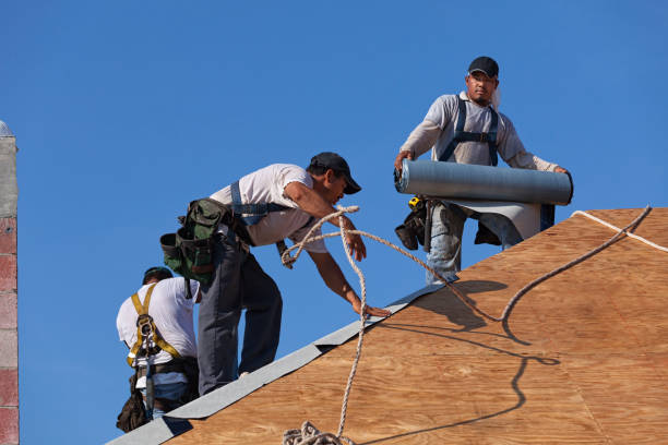 Best Flat Roof Repair Services  in Northfield, IL